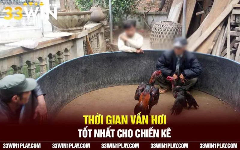 Chọn thời gian vần hơi tốt nhất cho chiến kê