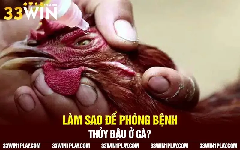 Làm sao để phòng bệnh 