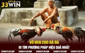 Vỗ hen cho gà đá – Đi tìm phương pháp hiệu quả nhất