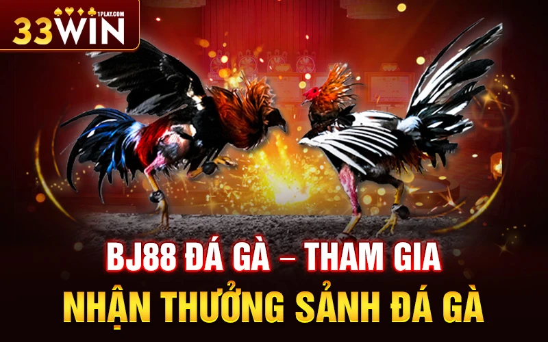 Bj88 đá gà – Tham gia nhận thưởng sảnh đá gà